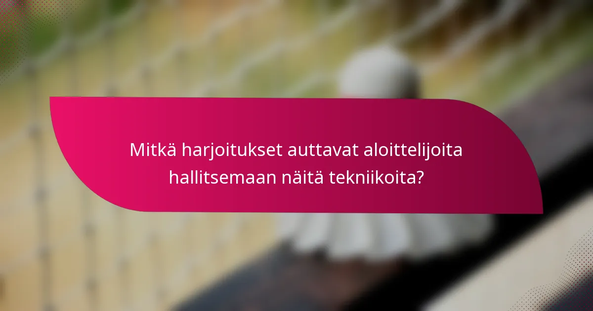Mitkä harjoitukset auttavat aloittelijoita hallitsemaan näitä tekniikoita?